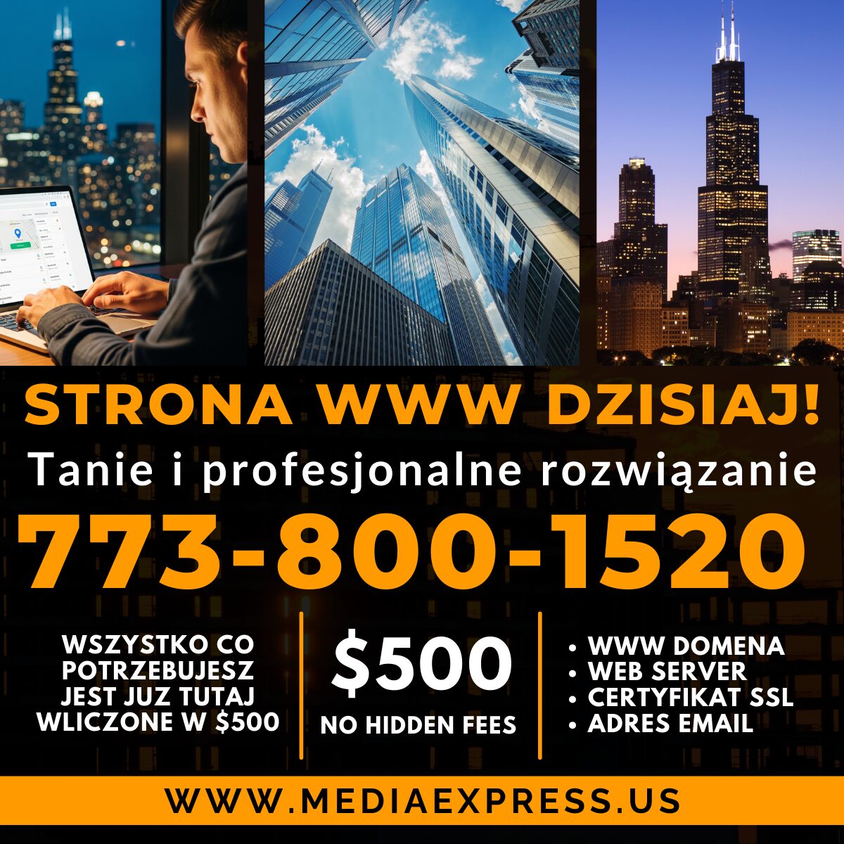Media Express digital marketing team providing web design, SEO, and online promotion services in Chicago